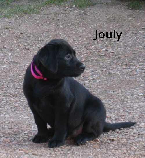 Jouly 1