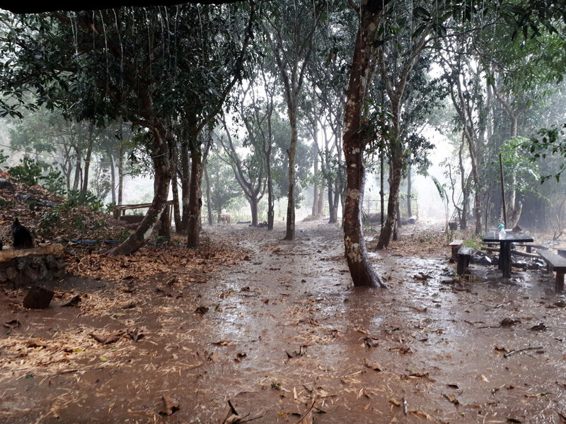 LA_20200303_mekong eden farm 4_pluie des manguiers