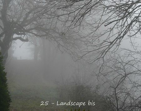 25 - Landscape Bis