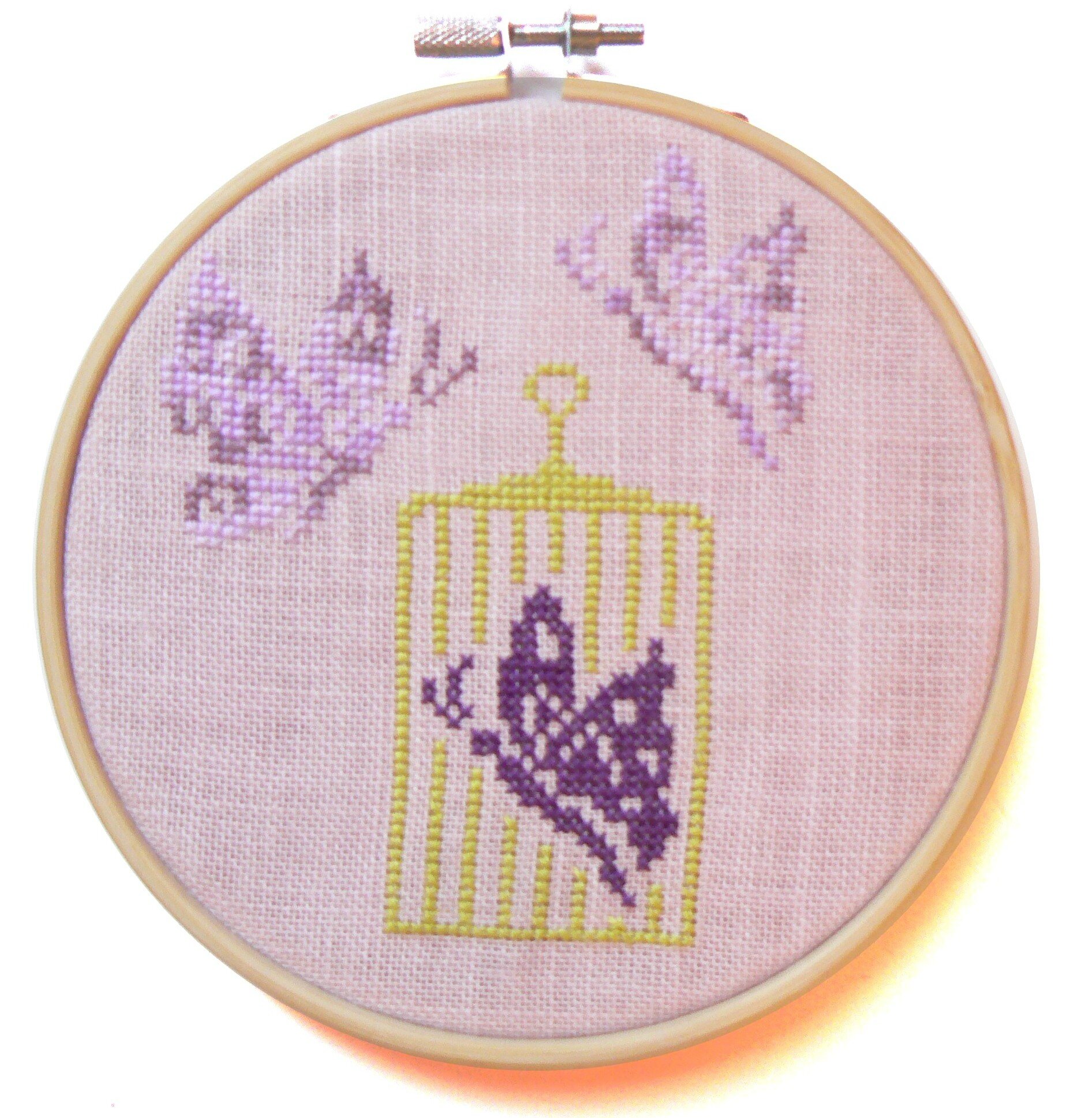 CAGE PAPILLONS
