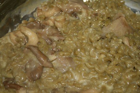 Risotto de pâtes aux pleurottes recettes Gratin de cabillaud aux pleurottes – de JuJuBe