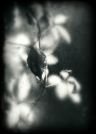 sudek
