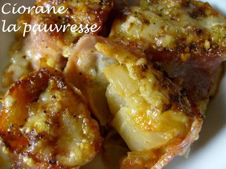gratin_chicon_punk
