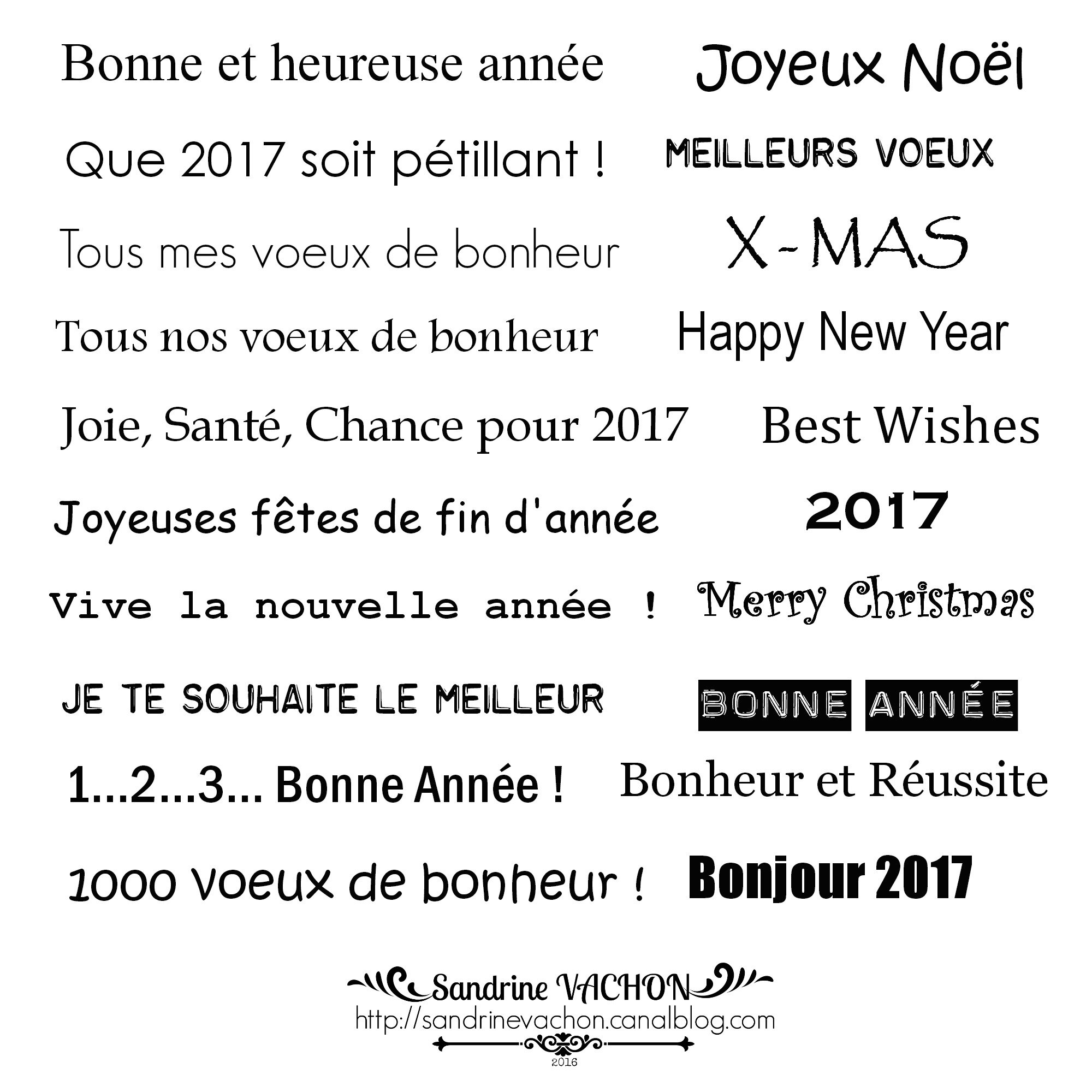 Sandrine VACHON planche 56
