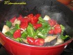 Ratatouille_aux_l_gumes_du_jardin_07_006