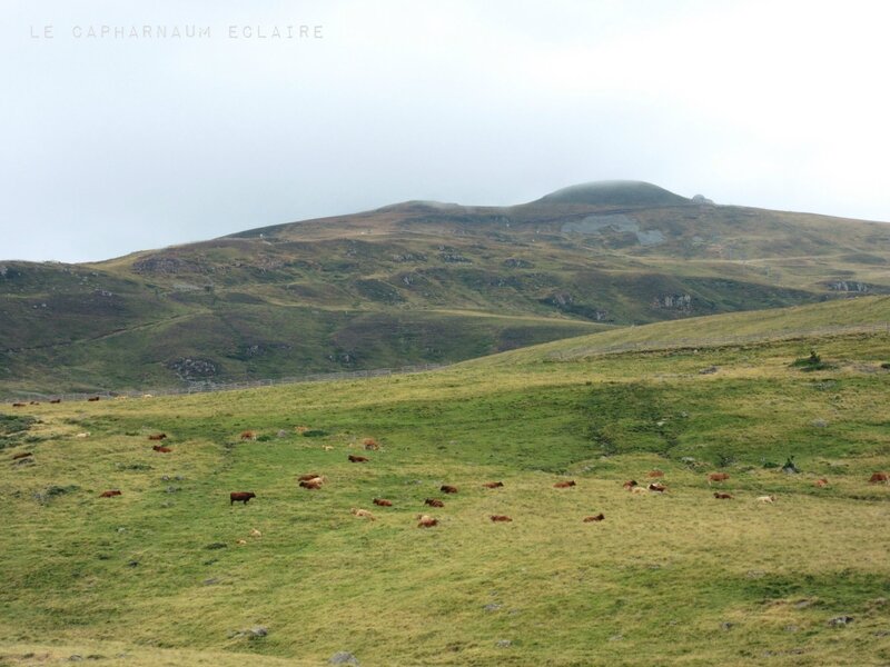 Col du Prat de Bouc 2