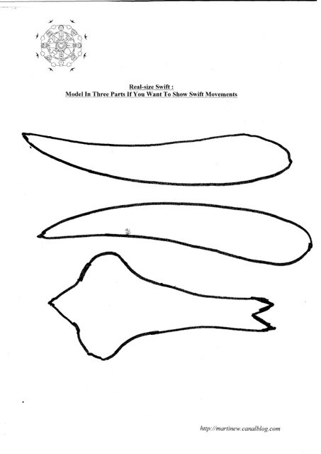Real size Swift_Articulated