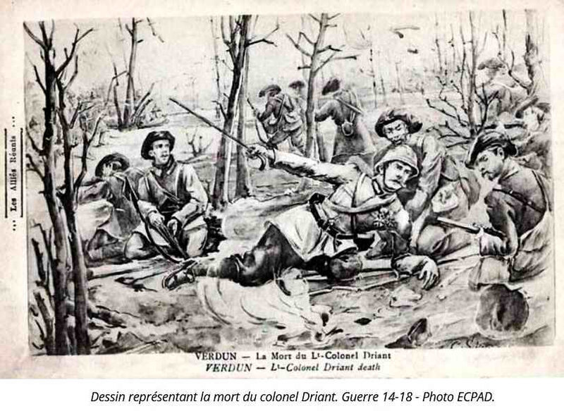 driant bois des caures