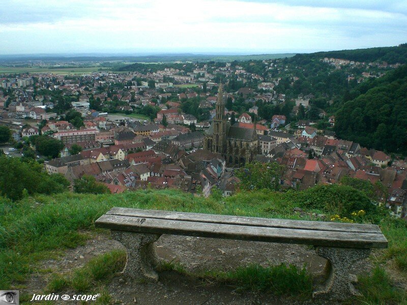 Vue sur Thann depuis l'Oeil de la Sorcière (68)