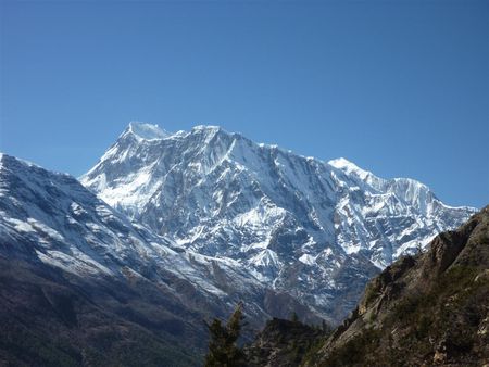 like_Alpes__Large_