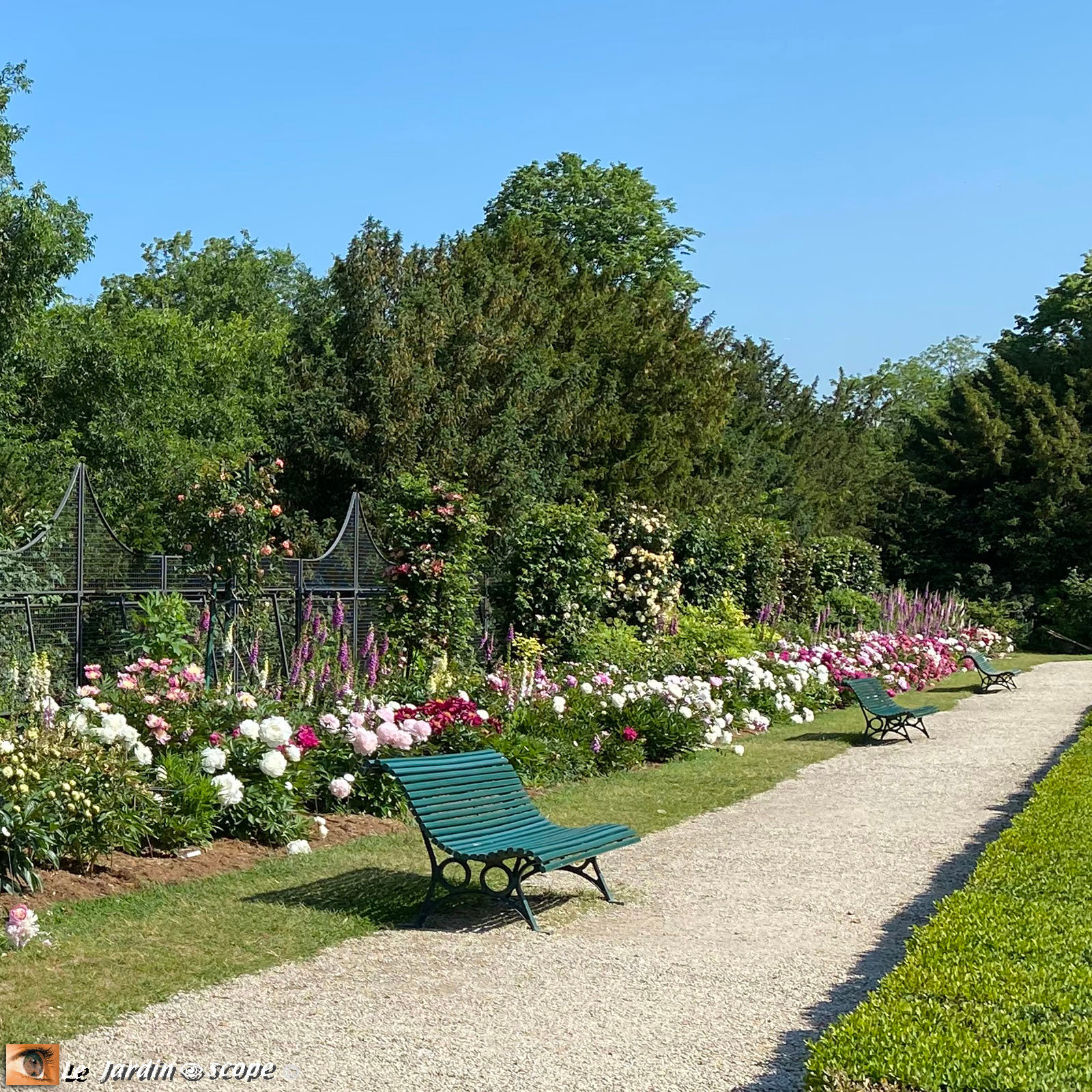 Allée des pivoines - Jardin de Bagatelle (Paris)