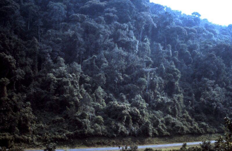 rwanda 27
