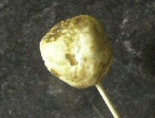 boulettes_canapes_du_soleil2