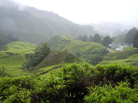 DSCN6138752207974