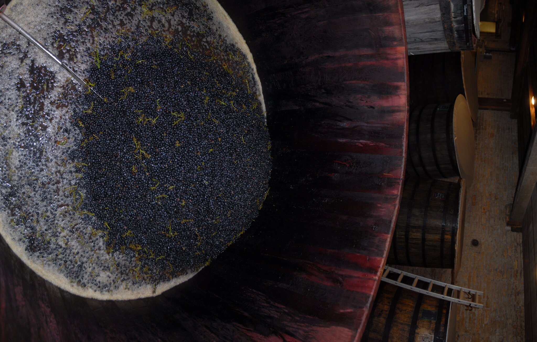 Le Nuits Saint Georges Clos des Argillères sorti de l'égrappoir