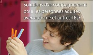 solutions d'accompagnement pour les adultes guide FEGAPEI