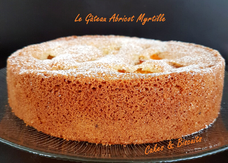 Gâteau abricot myrtille 4