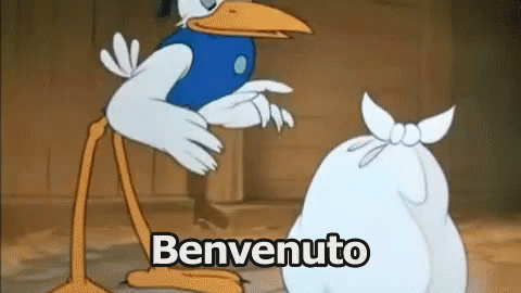 CicognaBimboBambinoNatoNuovoArrivatoBenvenutoGIF