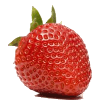 fraise copie