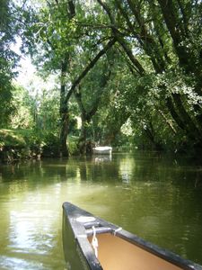 La Venise Verte 09 07 2013 (5)