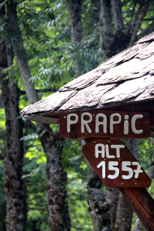 prapic