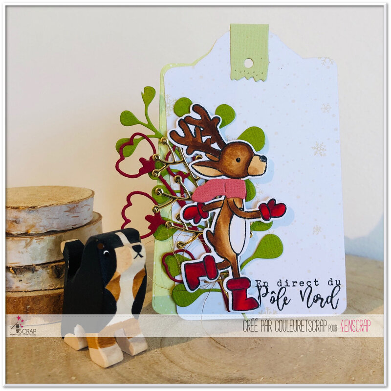 Couleuretscrap_pour_4enScrap_J1_hiver19_étiquette_rennnes_pôle_nord