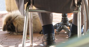 Cannes__p_p_re_sous_la_table__06_