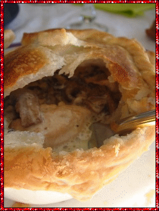 vol_au_vent2_termine