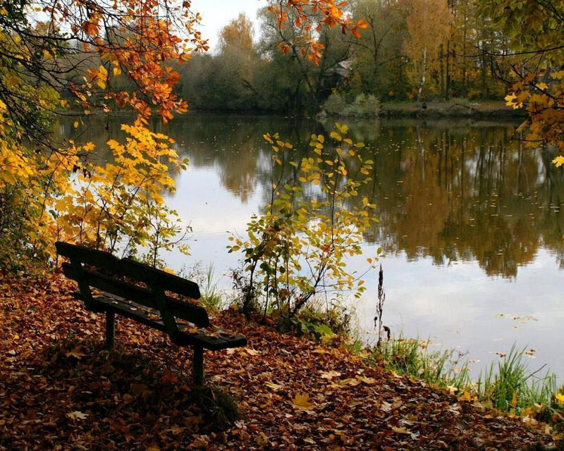 rivier automne