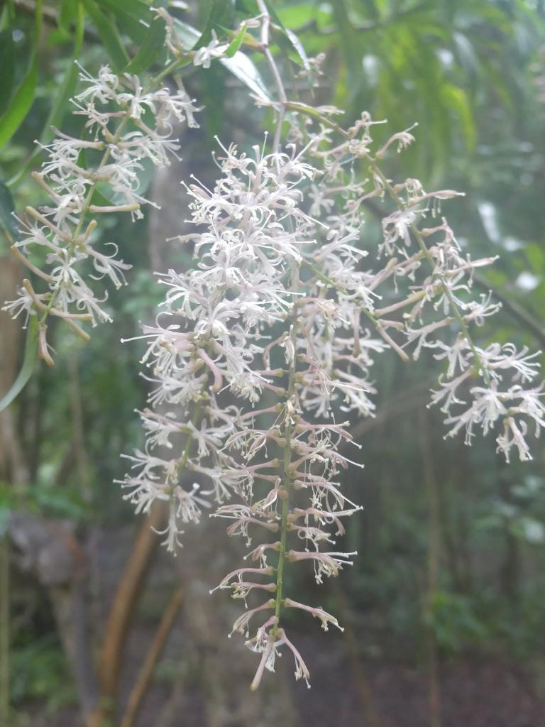 P1250152