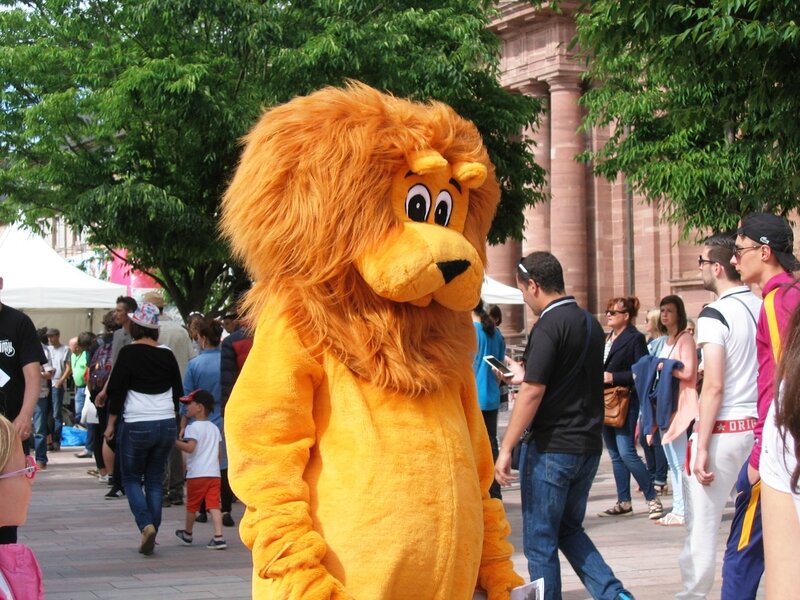 IMG_8506 29516 Lion