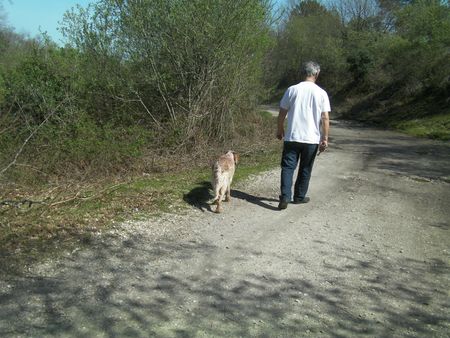 promenade aux gravières 022