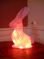 lapin d'Alix (2)