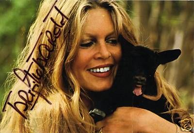 bb_autograph-animaux-chevre-01