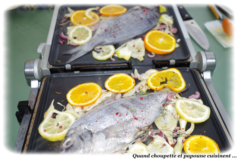 daurades grillées au fenouil-5765