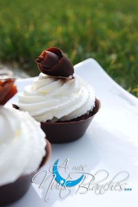 mini-foret-noire12