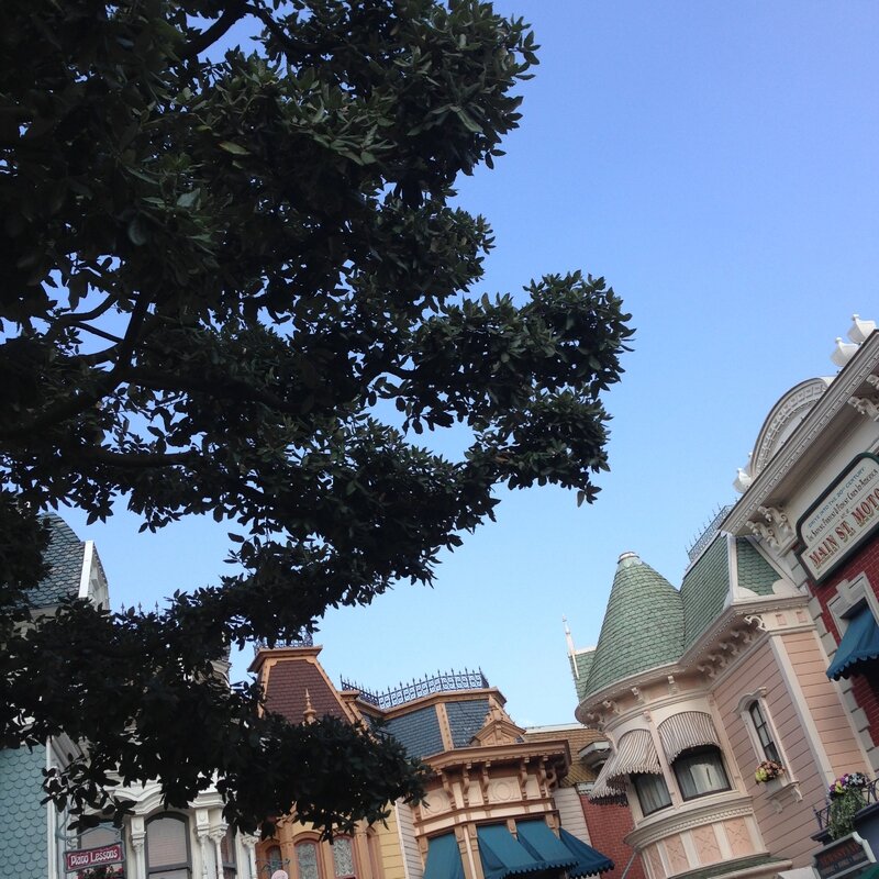 Main Street, details