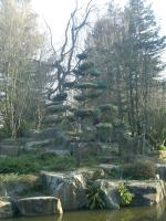 Jardin japonais