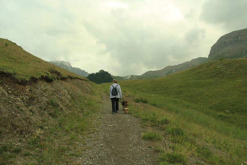 Col de Vars00005