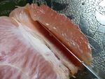 pamplemousse_7