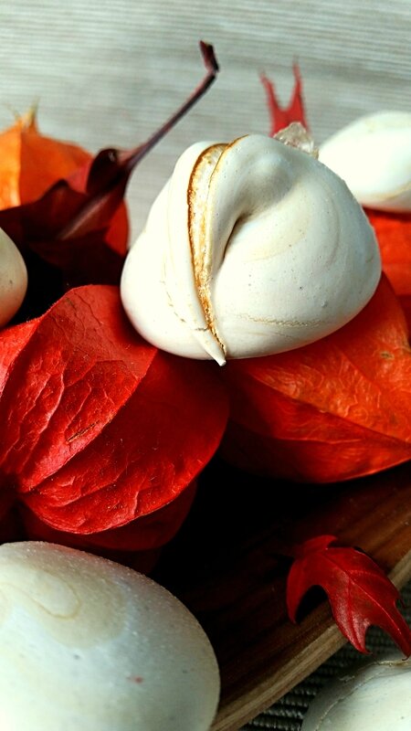 Meringues au café 1