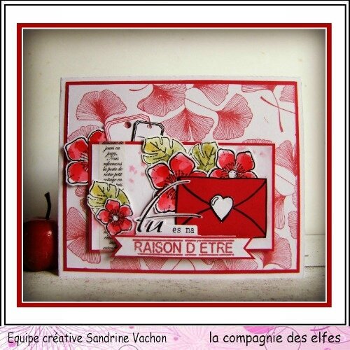 Sandrine VACHON dt LCDE janv (1)