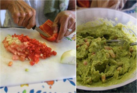 roule-a-la-guacamole-01