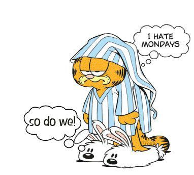 garfield lundi matin