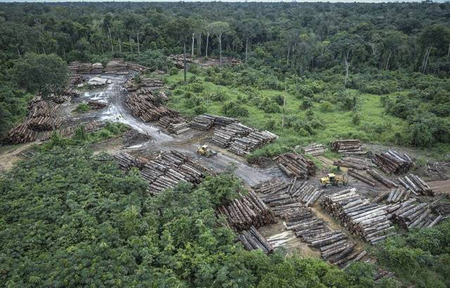 640x410_zone-deforestation-illegale-amazonie-bresil-8-mai-2018