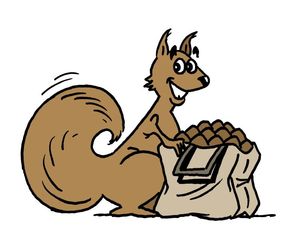 mascotte écureuil