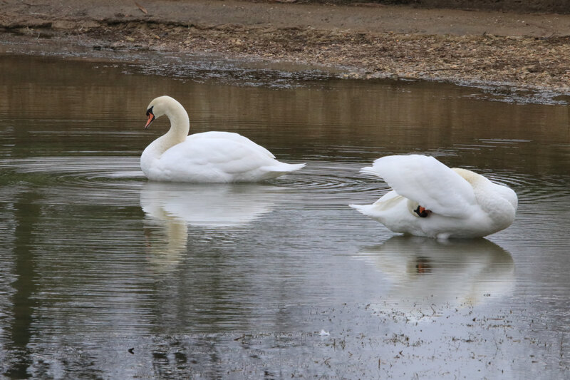 IMG_3893