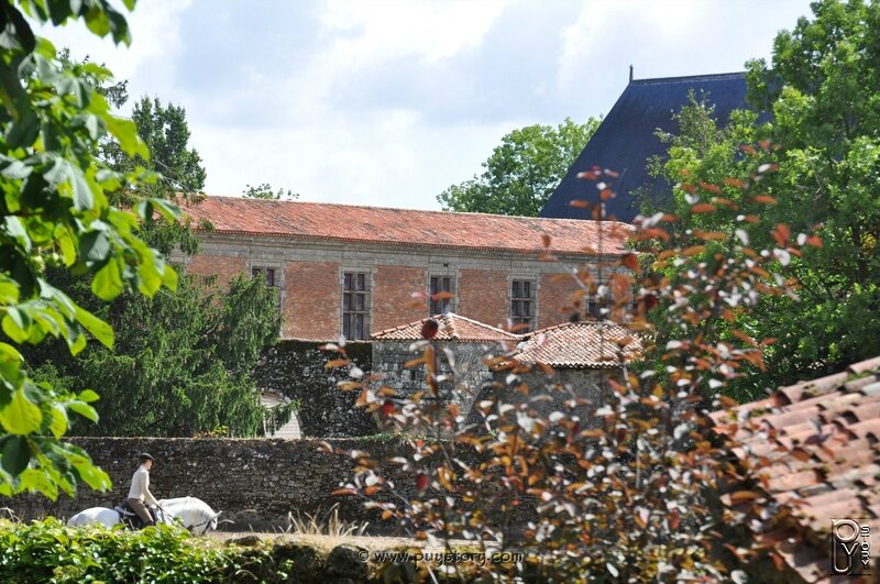 Puy du Fou 2011 - 3369