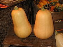 220px-Courges_butternut_01