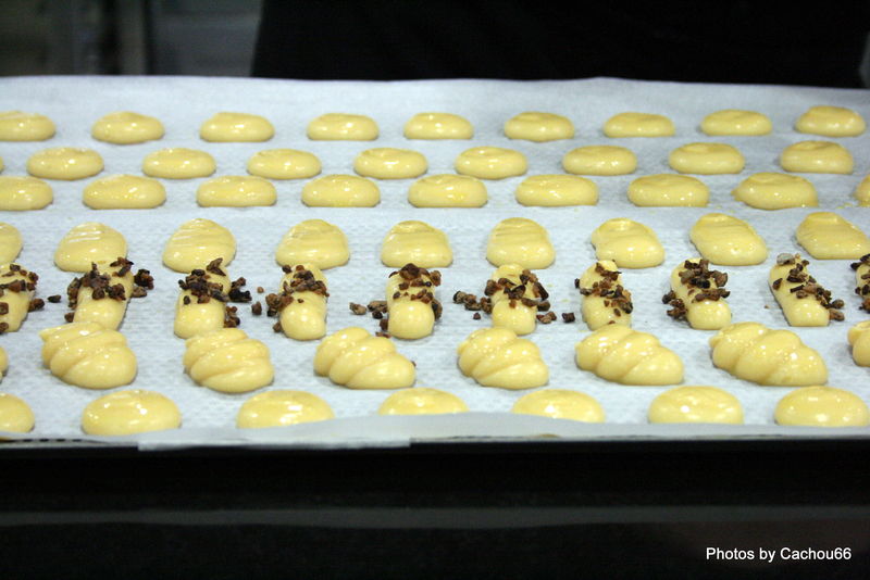Les petits fours frais 09-05-09 (12)